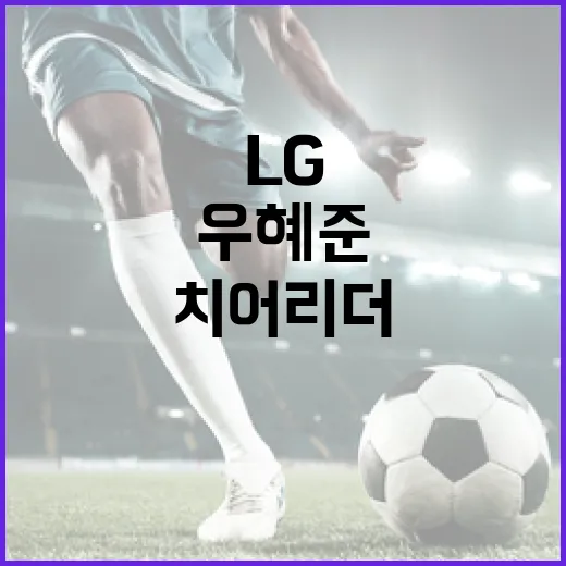 LG 치어리더 우혜준, 팬심을 사로잡는 비결은? - 요약