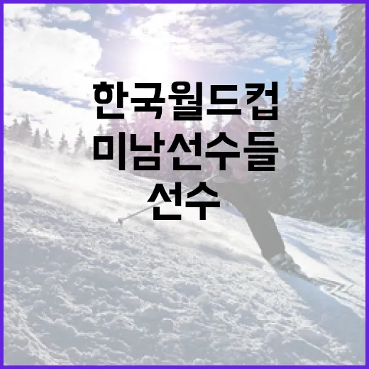 한국 월드컵 대표팀의 미남 선수들 알아보기 - 요약