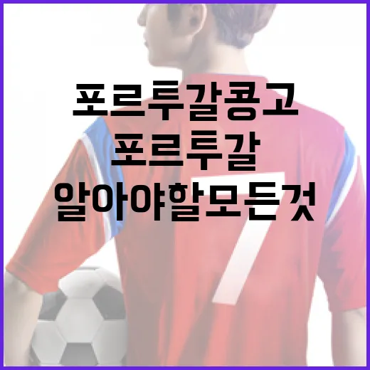 포르투갈 콩고에 대해 알아야 할 모든 것 - 요약