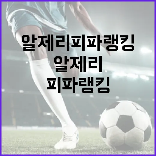 알제리 피파랭킹 알아보고 기대할 점 - 요약