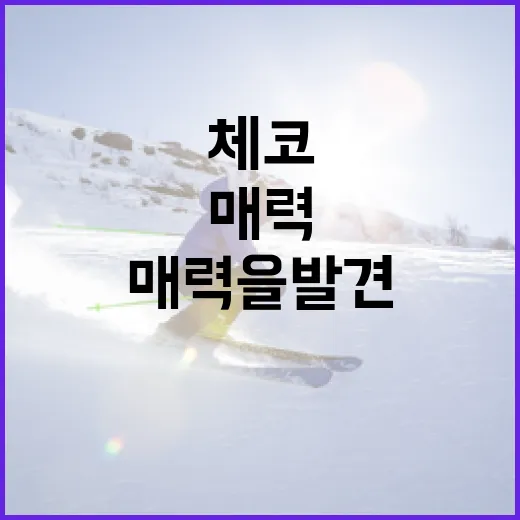 체코와 남아공: 각각의 매력을 발견하는 방법 - 요약