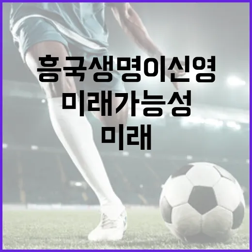 흥국생명 이신영의 미래 가능성 살펴보기 - 요약