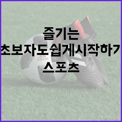 스포츠를 즐기는 방법: 초보자도 쉽게 시작하기 - 요약