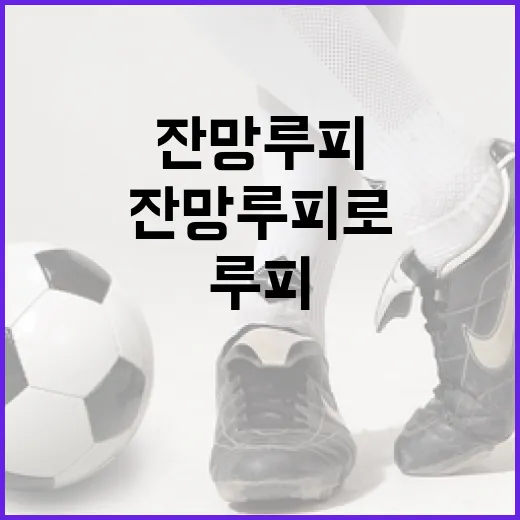 잔망루피로 일상에 활력을 더하는 방법 - 요약