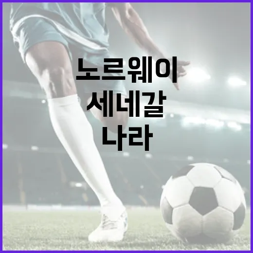 노르웨이와 세네갈, 두 나라의 매력적인 만남 - 요약