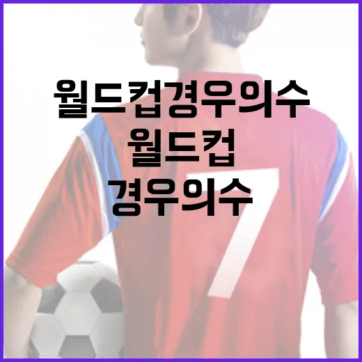 월드컵 경우의 수, 어떻게 이해할까? - 요약