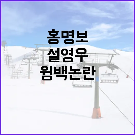 홍명보와 설영우: 윙백 논란의 진실을 파헤치다 - 요약