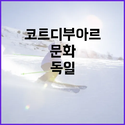독일과 코트디부아르: 독특한 문화와 경험을 연결하는 방법 - 요약