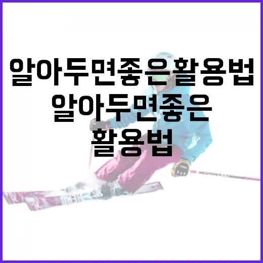 스즈키 자이온, 알아두면 좋은 활용법과 특징 - 요약