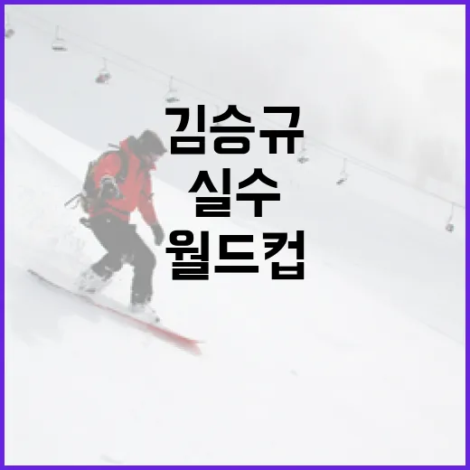 김승규의 실수, 월드컵 경기의 아쉬운 패배를 돌아보다 - 요약