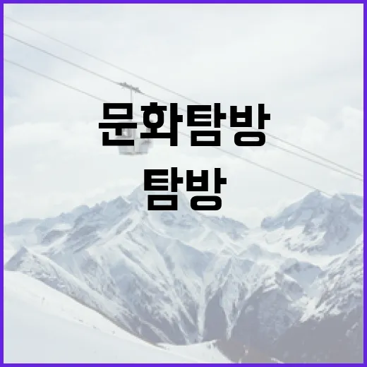 보지냐: 이색적인 즐길 거리로의 초대 - 요약