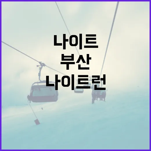 부산 나이트런 처음 나가려면 이렇게 준비하면 편합니다 - 요약
