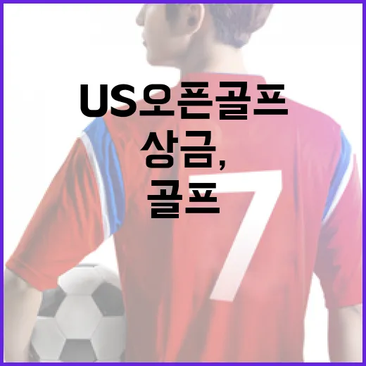 US 오픈 골프 상금, 어디에 어떻게 쓰일까? - 요약