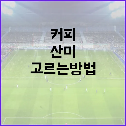 콜롬비아 콩고 커피 고르는 방법, 산미와 묵직함만 봐도 쉬워요 - 요약