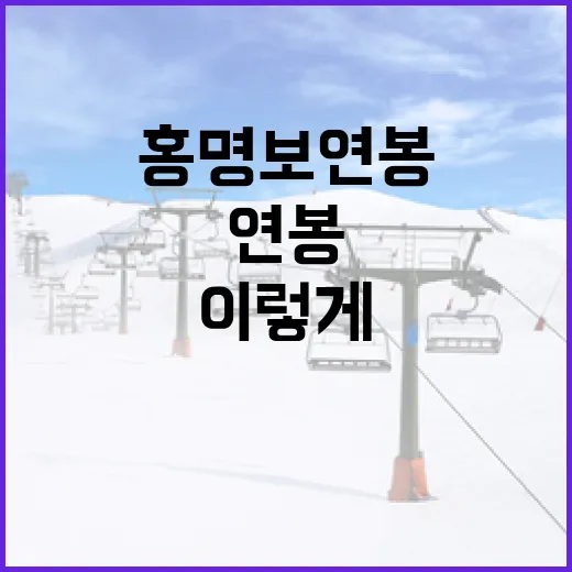 홍명보 연봉 확인하려면 이렇게 보면 됩니다 - 요약