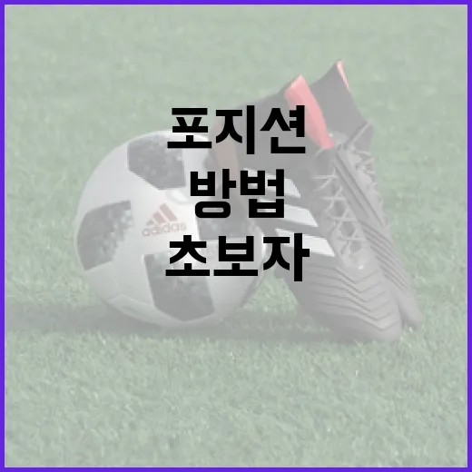 초보자를 위한 설영우 이해하는 방법, 포지션부터 커리어 흐름까지 - 요약