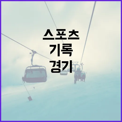 스포츠 기록을 따라가 봤더니 경기 결과보다 더 오래 남은 이야기 - 요약