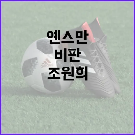 조원희 옌스만 비판 후 사과, 말 한마디가 경기 기록처럼 남는 순간 - 요약