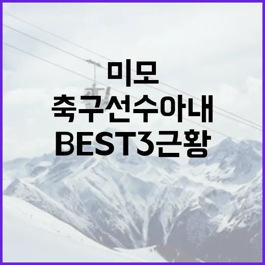 축구선수 아내 미모 BEST3 근황, 얼굴보다 기록이 더 오래 남더라 - 요약