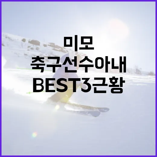 축구선수 아내 미모 BEST3 근황을 따라가봤더니, 사진보다 기록이 더 재밌었다 - 요약