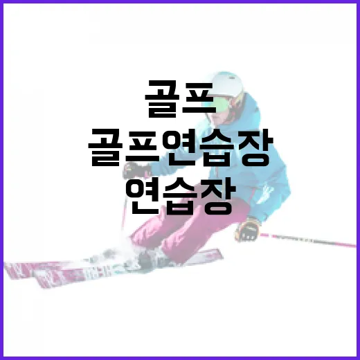 골프연습장 몇 달 다녀봤더니 스코어보다 먼저 바뀐 숫자들 - 요약