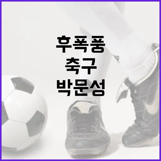 박문성 작심발언 후폭풍을 따라가 봤더니, 한국 축구의 숫자가 먼저 흔들리고 있었다 - 요약