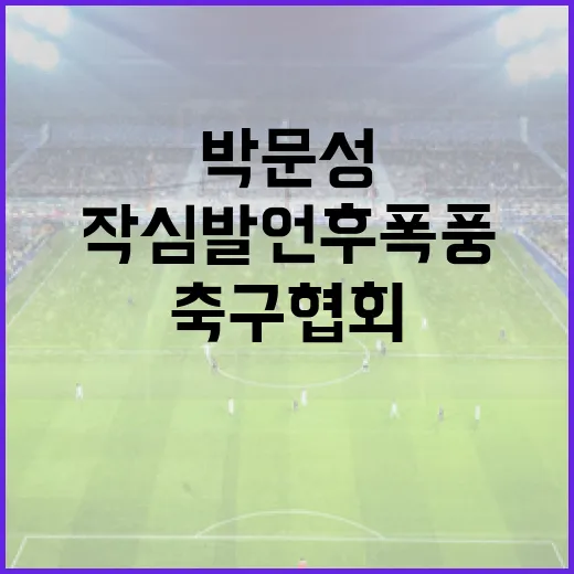 박문성 작심발언 후폭풍을 따라가봤더니, 축구협회 논란은 왜 더 커졌나 - 요약