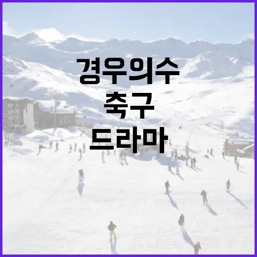 축구 경우의수 계산해봤더니, 승점표가 갑자기 드라마가 됐다 - 요약