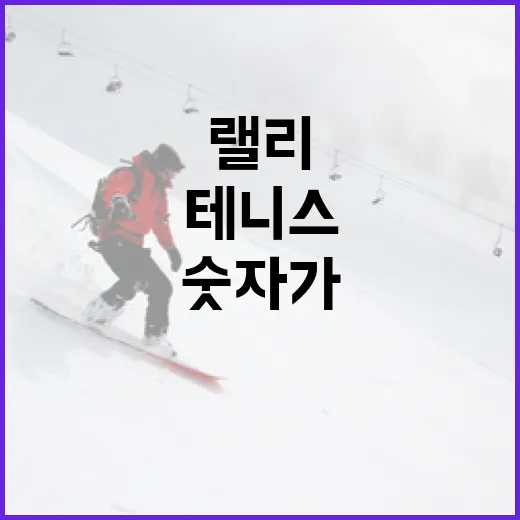 테니스 기록을 따라가 봤더니 랠리보다 숫자가 먼저 보였다 - 요약