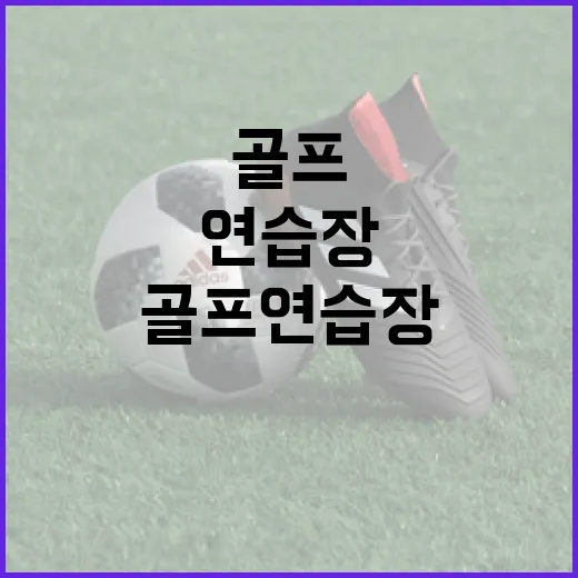 골프연습장 몇 군데 다녀봤더니, 스코어보다 먼저 보인 숫자들 - 요약