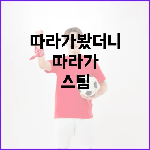 스팀을 경기 흐름처럼 따라가 봤더니 보이는 진짜 이야기 - 요약