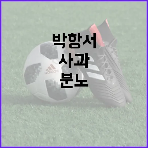 박항서 사과 이후 붉은악마 분노를 기록으로 다시 읽어봤더니 - 요약