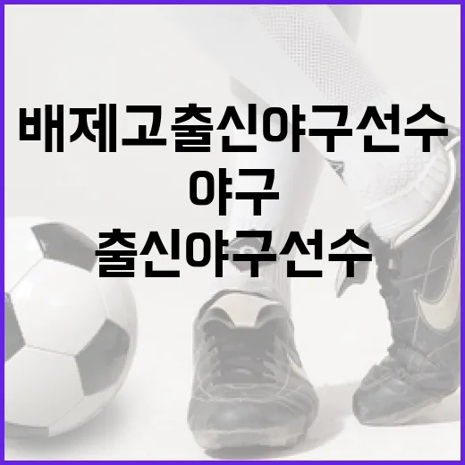 배제고 출신 야구선수를 찾아보다가 보인, 이름보다 기록이 먼저 말하는 이야기 - 요약