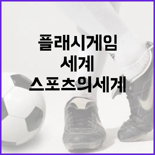 플래시게임 기록을 다시 눌러봤더니 보인 작은 스포츠의 세계 - 요약