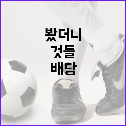 롤빗 배당 흐름을 기록처럼 따라가 봤더니 보인 것들 - 요약