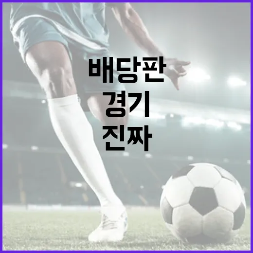 롤빗 배당판을 경기 기록처럼 읽어봤더니 보인 진짜 흐름 - 요약