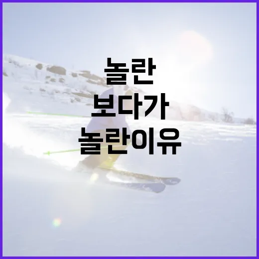 벨기에 세네갈전 보다가 숫자에 더 놀란 이유 - 요약