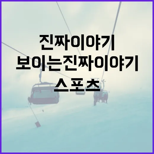 롤빗을 스포츠 기록 관점으로 봤더니 보이는 진짜 이야기 - 요약
