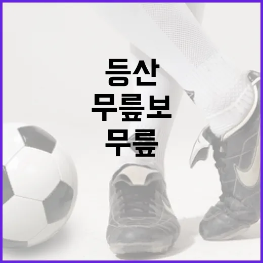 등산스틱 들고 산길 걸어봤더니, 무릎보다 기록이 먼저 달라졌다 - 요약
