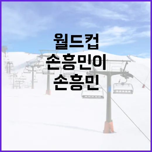 손흥민이 월드컵 뒤 바로 귀국하지 않았던 진짜 이유를 기록으로 따라가 봤더니 - 요약
