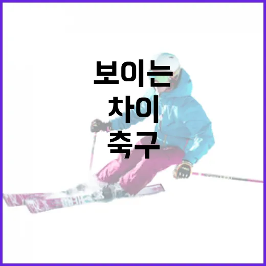 스위스 알제리전을 떠올려봤더니, 기록보다 먼저 보이는 축구의 온도 차이 - 요약
