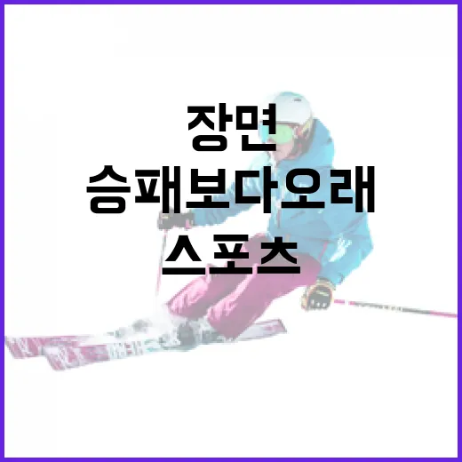 스포츠 기록을 따라가 봤더니 승패보다 오래 남은 장면들 - 요약