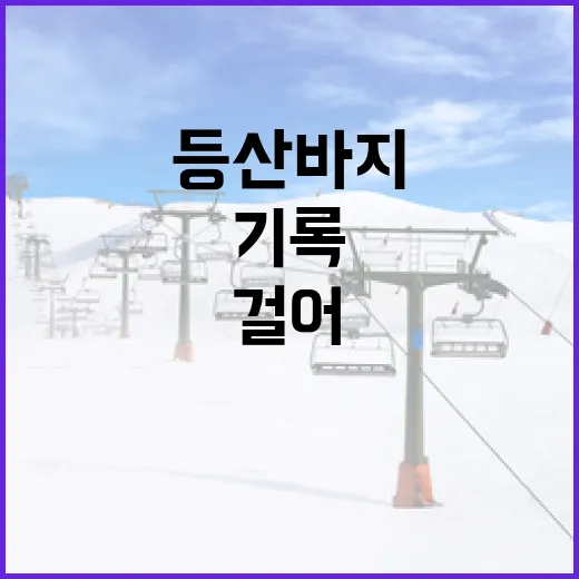 등산바지 입고 12km 걸어봤더니 기록이 먼저 말해준 진짜 차이 - 요약