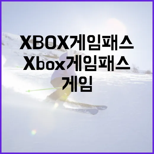 롤빗 배당을 기록장처럼 훑어봤더니 보인 진짜 흐름 - 요약