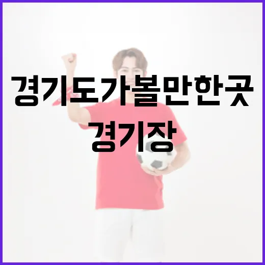 경기도가볼만한곳을 경기장 기준으로 걸어봤더니 보이는 숫자들 - 요약