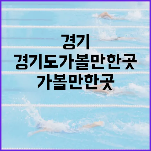 선수들의 롤스로이스를 기록표처럼 들여다봤더니 보인 진짜 이야기 - 요약