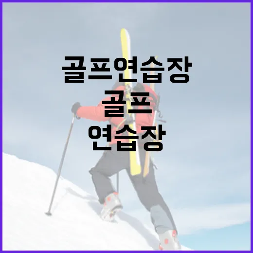 골프연습장을 한 달 다녀봤더니 숫자가 먼저 말을 걸었다 - 요약