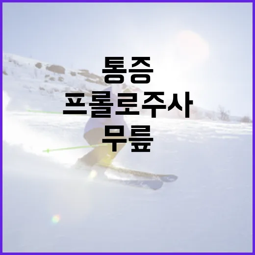 무릎 통증 때문에 프롤로주사 기록을 파봤더니 보인 진짜 이야기 - 요약