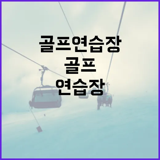 골프연습장을 6주 다녀봤더니 스코어보다 먼저 바뀐 숫자들 - 요약