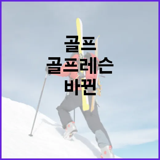 골프레슨을 8주 받아봤더니 스코어보다 먼저 바뀐 숫자들 - 요약